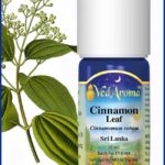 cinnamon leaf essential oil