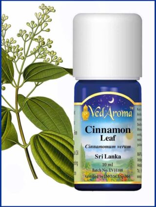 cinnamon leaf essential oil