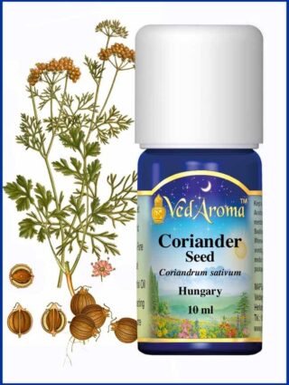 coriander seed hungary essential oil