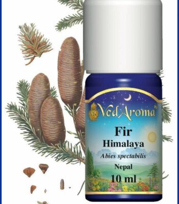 eu fir himalaya