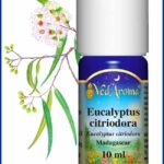 eucalyptus citriodora essential oil