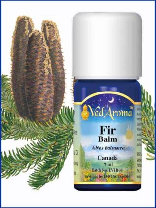 fir balm essential oil