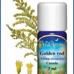 golden rod essential oil