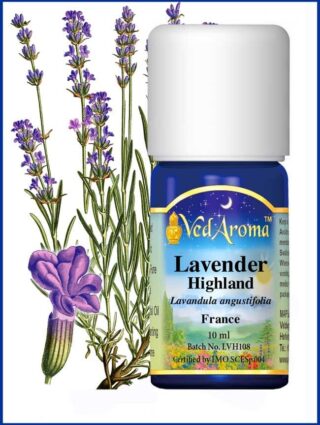 lavender highland essential oil