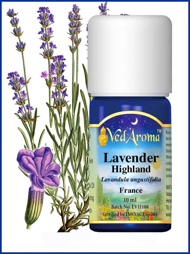 lavender highland essential oil