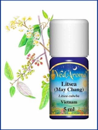 litsea may chang essential oil
