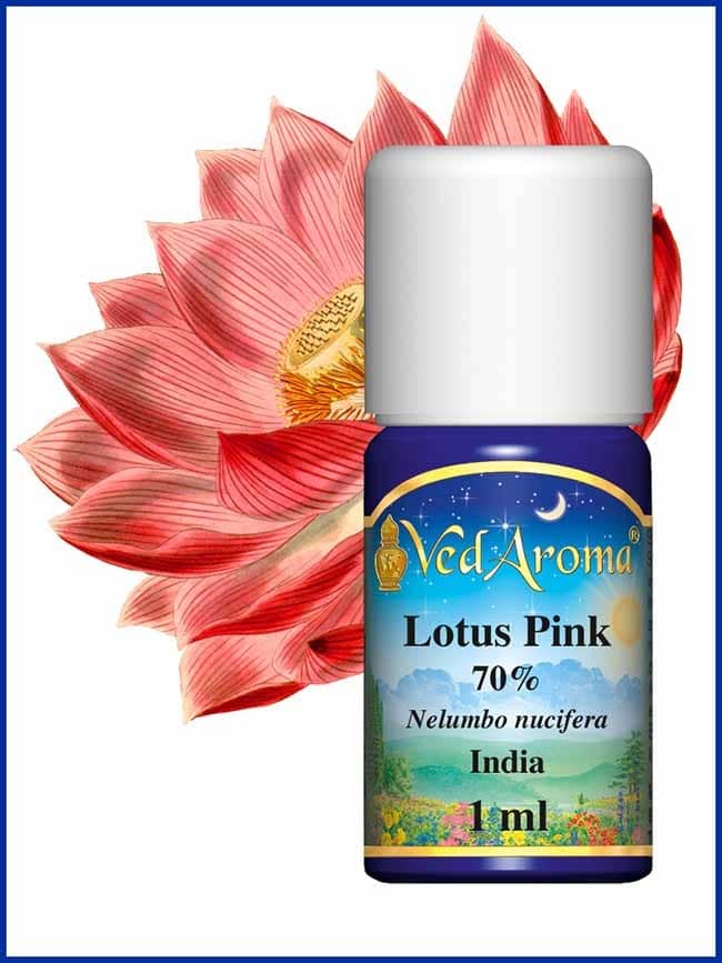 lotus pink absolute 70 diluted in organic alcohol lotus pink absolute 70 diluted in organic alcohol