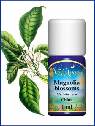 magnolia blossom essential oil