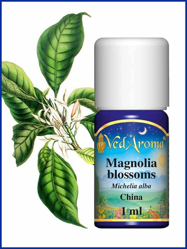 magnolia blossom essential oil