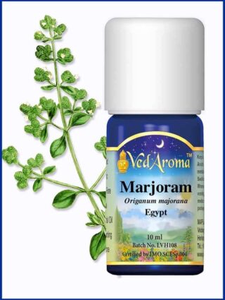 marjoram essential oil