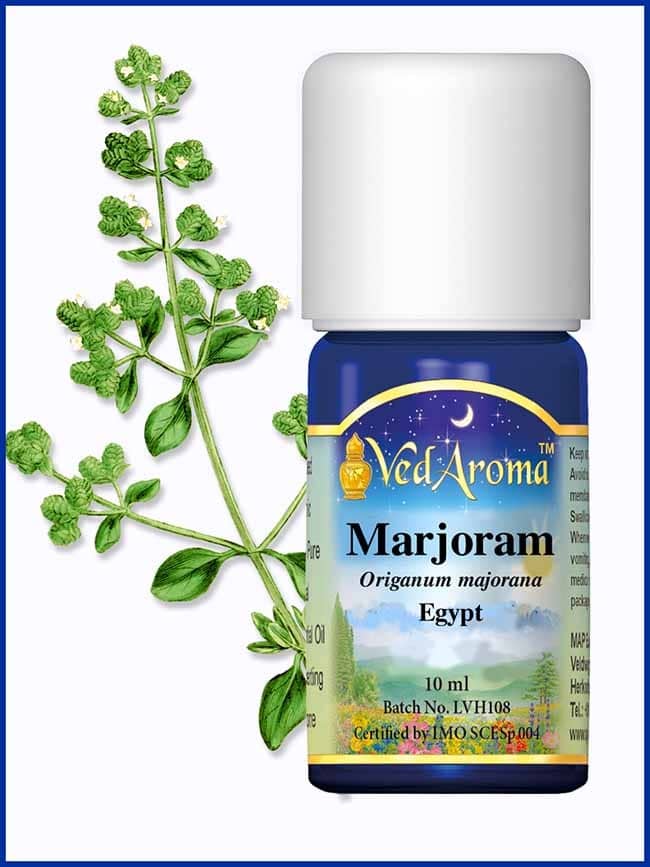marjoram essential oil