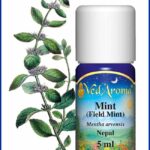 mint field mint essential oil