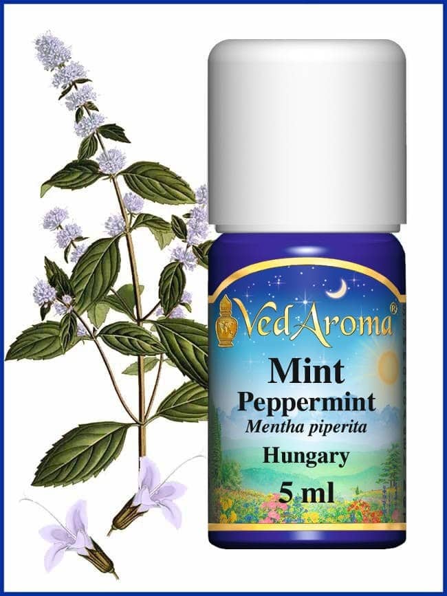 mint peppermint essential oil from hungary mint peppermint essential oil from hungary