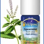 mint spearmint essential oil