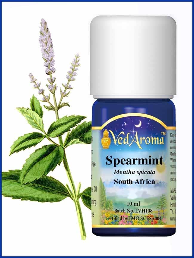 mint spearmint essential oil mint spearmint essential oil
