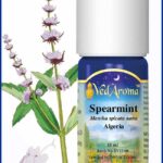 mint spearmint nana essential oil