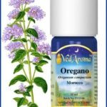 oregano essential oil