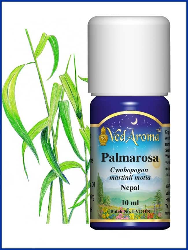 palmarosa essential oil