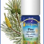 pine sylvester essential oil