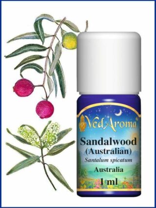 sandalwood australia 1ml ess-oils