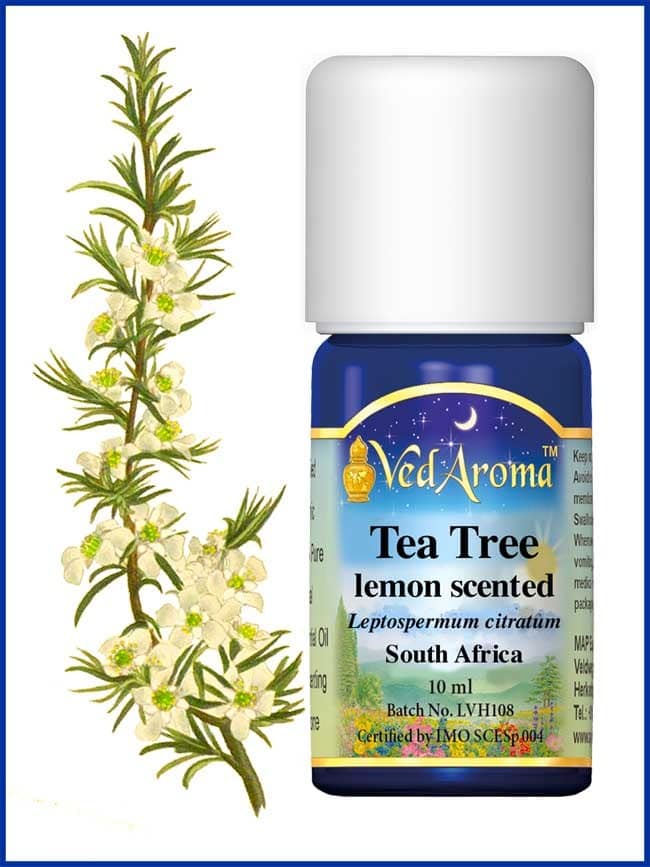 tea tree lemon scented essential oil
