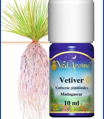 vetiver essential oil madagaskar