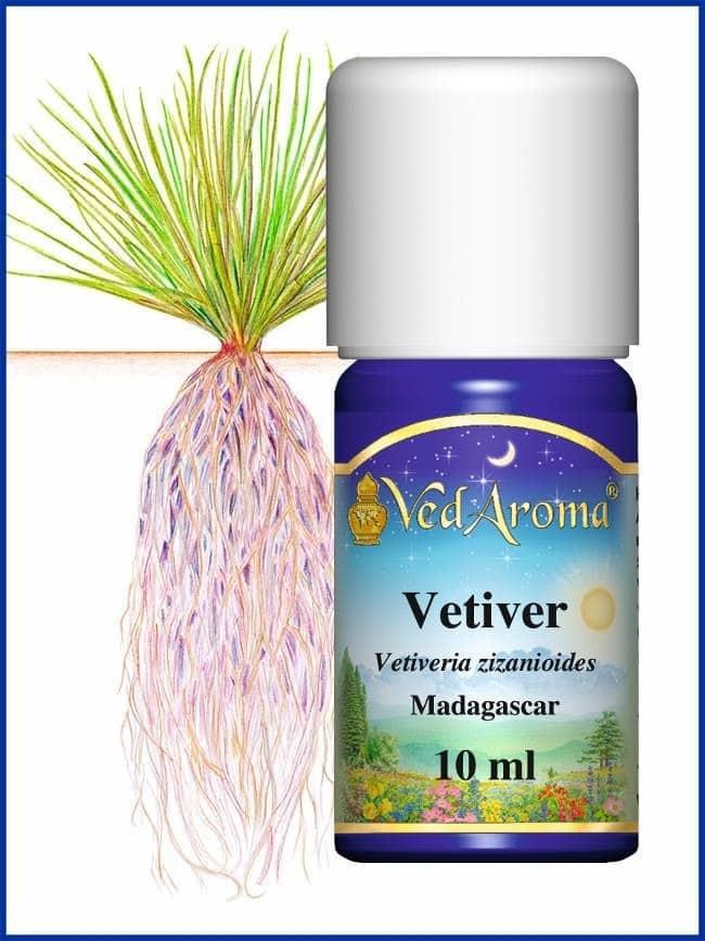 vetiver essential oil madagaskar