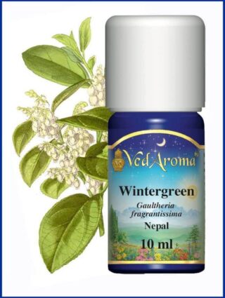 wintergreen essential oil