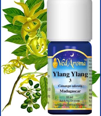 ylang ylang 3 essential oil