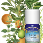 Citrus Garden – Blend of Essential Oils