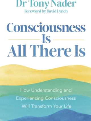 Consciousness Is All There Is