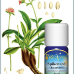 Spikenard Essential Oil